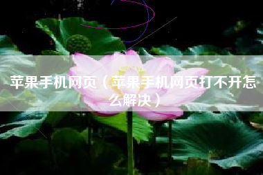 苹果手机网页（苹果手机网页打不开怎么解决）