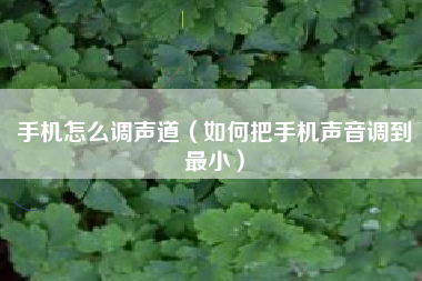手机怎么调声道（如何把手机声音调到最小）