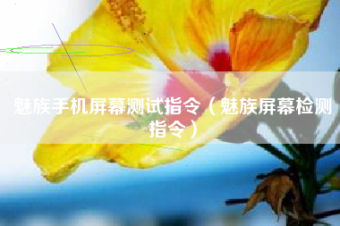 魅族手机屏幕测试指令（魅族屏幕检测指令）
