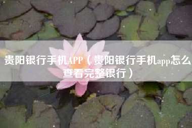 贵阳银行手机APP（贵阳银行手机app怎么查看完整银行）