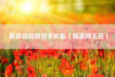 新浪官网首页手机版（新浪网主页）