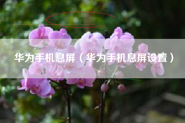 华为手机息屏（华为手机息屏设置）
