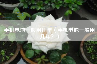 手机电池一般用几年（手机电池一般用几年？）