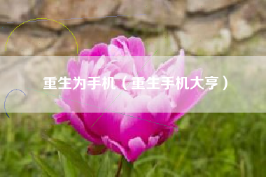 重生为手机（重生手机大亨）