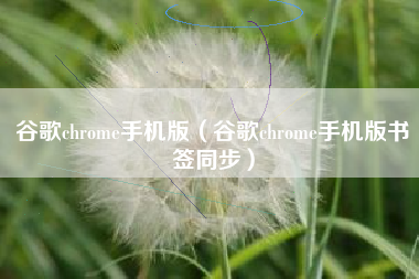 谷歌chrome手机版（谷歌chrome手机版书签同步）