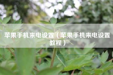 苹果手机来电设置（苹果手机来电设置教程）