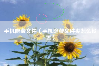 手机隐藏文件（手机隐藏文件夹怎么设置）