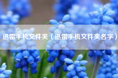 迅雷手机文件夹（迅雷手机文件夹名字）