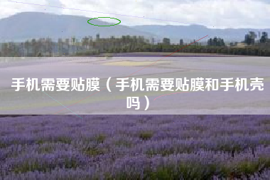 手机需要贴膜（手机需要贴膜和手机壳吗）