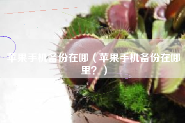 苹果手机备份在哪（苹果手机备份在哪里？）