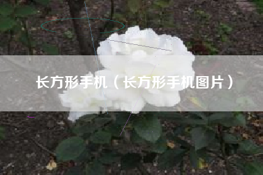 长方形手机（长方形手机图片）
