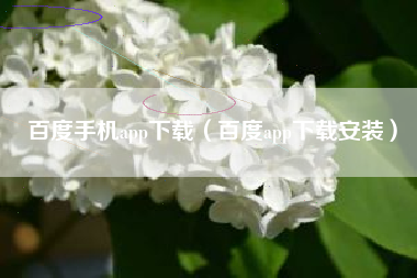 百度手机app下载（百度app下载安装）