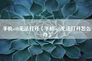手机wifi无法打开（手机wifi无法打开怎么办）