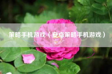 策略手机游戏（安卓策略手机游戏）