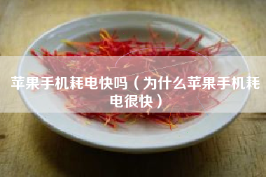 苹果手机耗电快吗（为什么苹果手机耗电很快）