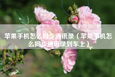 苹果手机怎么同步通讯录（苹果手机怎么同步通讯录到车上）