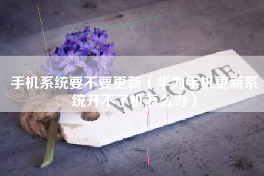 手机系统要不要更新（华为手机更新系统开不了机怎么办）
