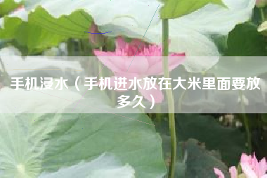 手机浸水（手机进水放在大米里面要放多久）