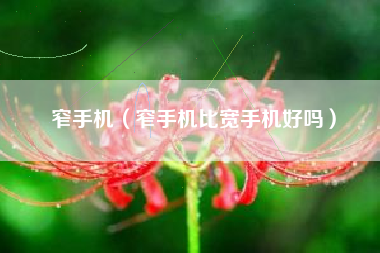 窄手机（窄手机比宽手机好吗）