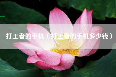 打王者的手机（打王者的手机多少钱）