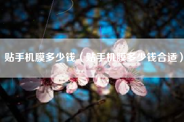 贴手机膜多少钱（贴手机膜多少钱合适）