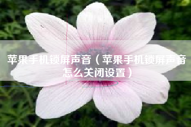 苹果手机锁屏声音（苹果手机锁屏声音怎么关闭设置）