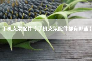 手机支架配件（手机支架配件都有哪些）