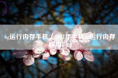 6g运行内存手机（2021年手机6g运行内存够用吗）