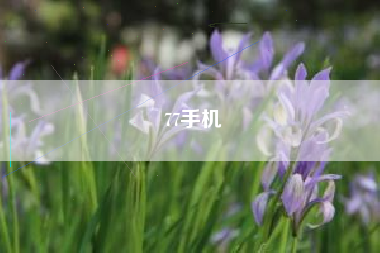 77手机