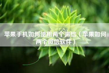 苹果手机如何使用两个微信（苹果如何两个微信软件）