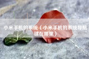 小米手机的系统（小米手机的系统导航键在哪里）
