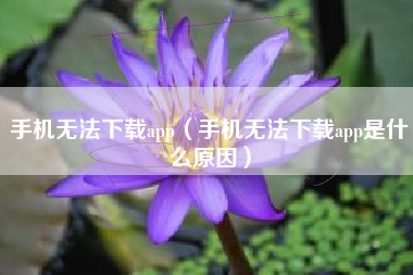 手机无法下载app（手机无法下载app是什么原因）