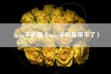 op.gg手机版（opgg手机版用不了）