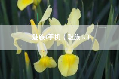 魅族4手机（魅族4x）