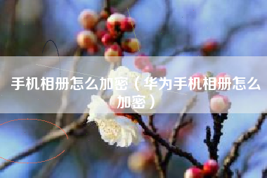 手机相册怎么加密（华为手机相册怎么加密）