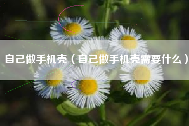 自己做手机壳（自己做手机壳需要什么）