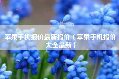 苹果手机报价最新报价（苹果手机报价大全最新）