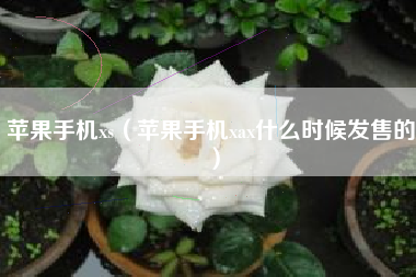 苹果手机xs（苹果手机xax什么时候发售的）