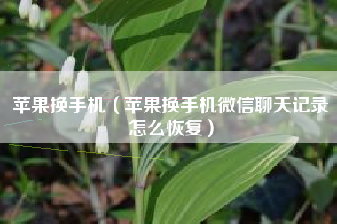 苹果换手机（苹果换手机微信聊天记录怎么恢复）