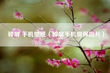 碎屏 手机壁纸（碎屏手机屏保图片）
