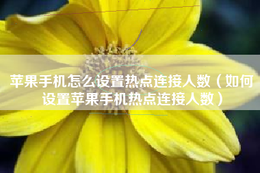 苹果手机怎么设置热点连接人数（如何设置苹果手机热点连接人数）