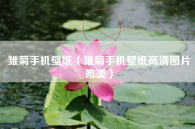 雏菊手机壁纸（雏菊手机壁纸高清图片唯美）