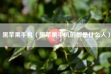 黑苹果手机（黑苹果手机的都是什么人）