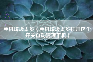 手机垃圾太多（手机垃圾太多打开这个开关自动清理手机）