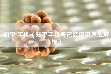 知乎 手机（知乎手机号已经停用怎么解绑）