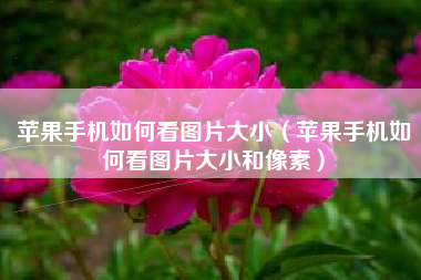 苹果手机如何看图片大小（苹果手机如何看图片大小和像素）