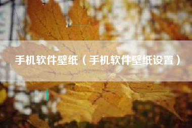 手机软件壁纸（手机软件壁纸设置）