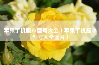 苹果手机版本型号大全（苹果手机版本型号大全图片）