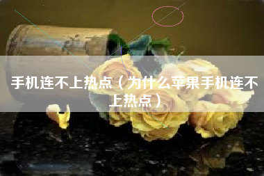 手机连不上热点（为什么苹果手机连不上热点）