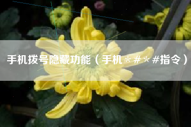 手机拨号隐藏功能（手机＊#＊#指令）